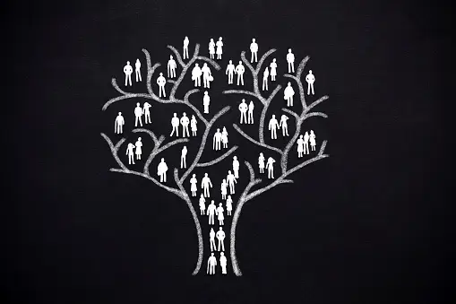 Read more about the article The Art of Crafting a Family Tree at Reunions